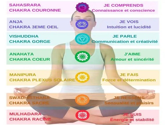 Service Provider of Chakra Physique Services in Faridabad, Haryana, India.